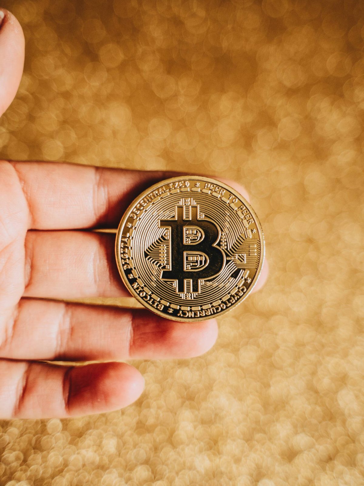 el-c-v-022 el-c-v-022