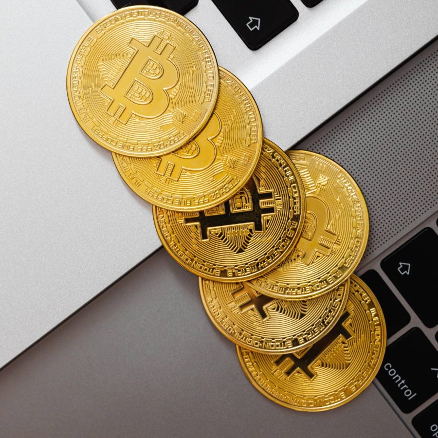 el-c-v-031 el-c-v-031